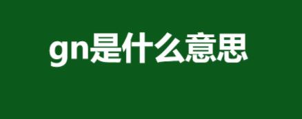 魅麗萊:網(wǎng)絡(luò)語(yǔ)gn是什么意思